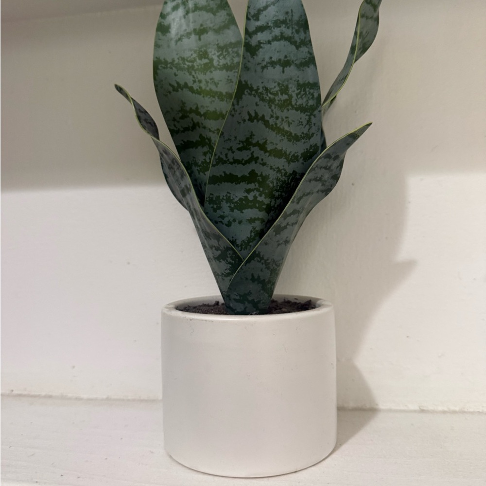 Green Faux Snake Plant in White Ceramic Pot -